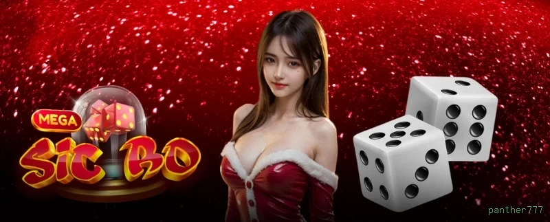 Login seguro na panther777